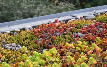 the cost of Wimbolds Trafford green roof installation