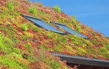 Wimbolds Trafford living roof systems